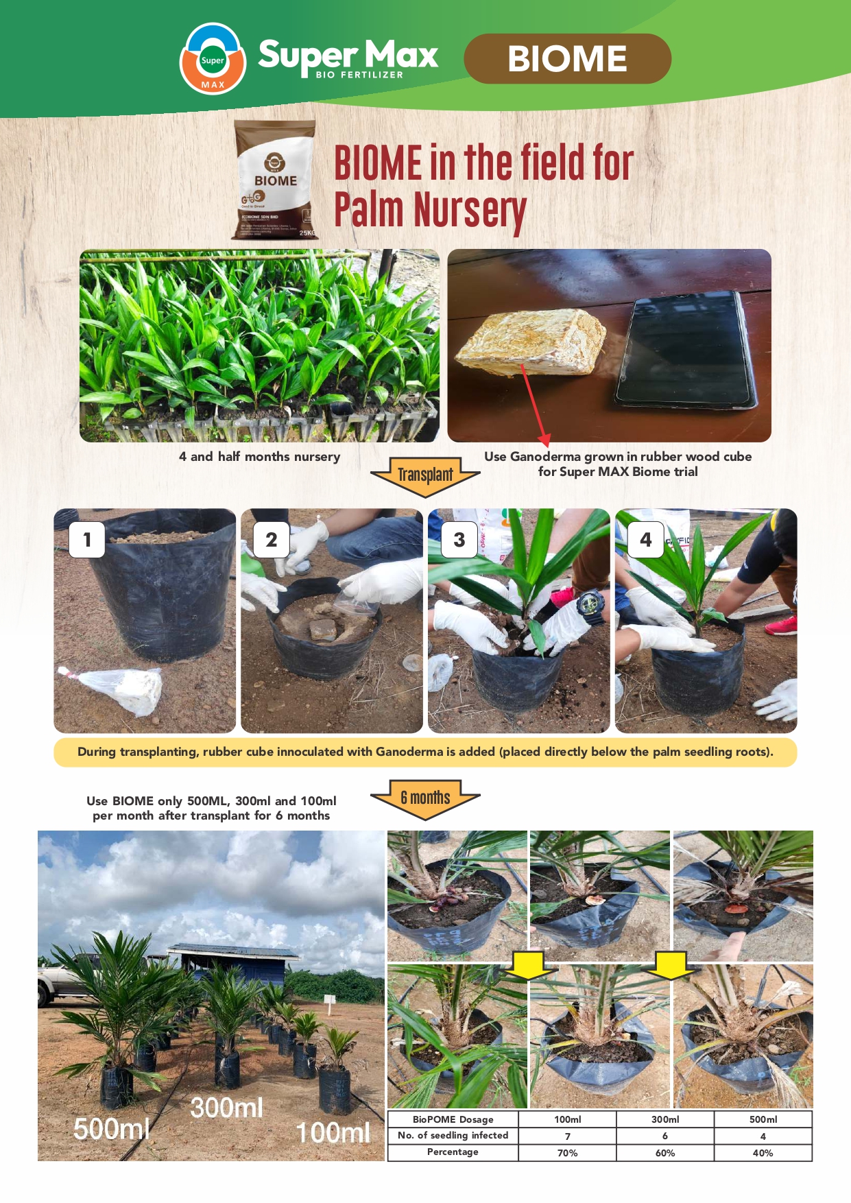 gtog brochure 2026_page-0007