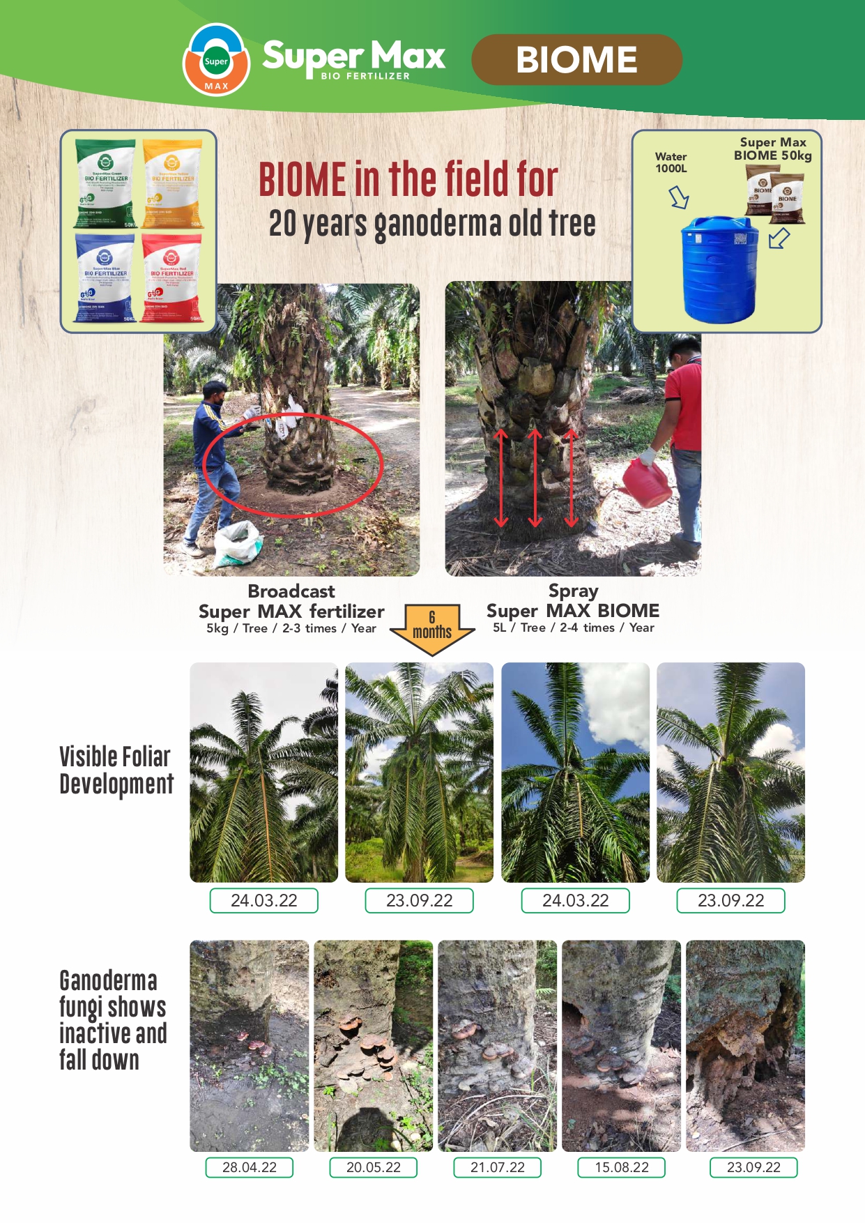 gtog brochure 2026_page-0008